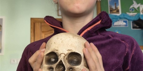 Powiększ grafikę: upiorna-dwudziestka-osemka-651990.jpg