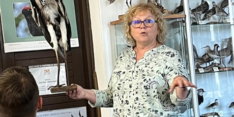 Powiększ grafikę: Kobieta w okularach w sali ornitologicznej prowadzi wykład, trzyma w rękach eksponat spreparowanego ptaka.